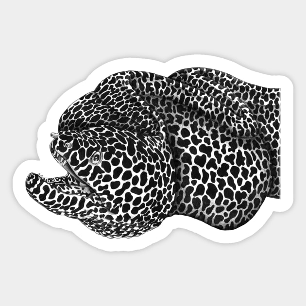 Moray eel Sticker by Tim Jeffs Art